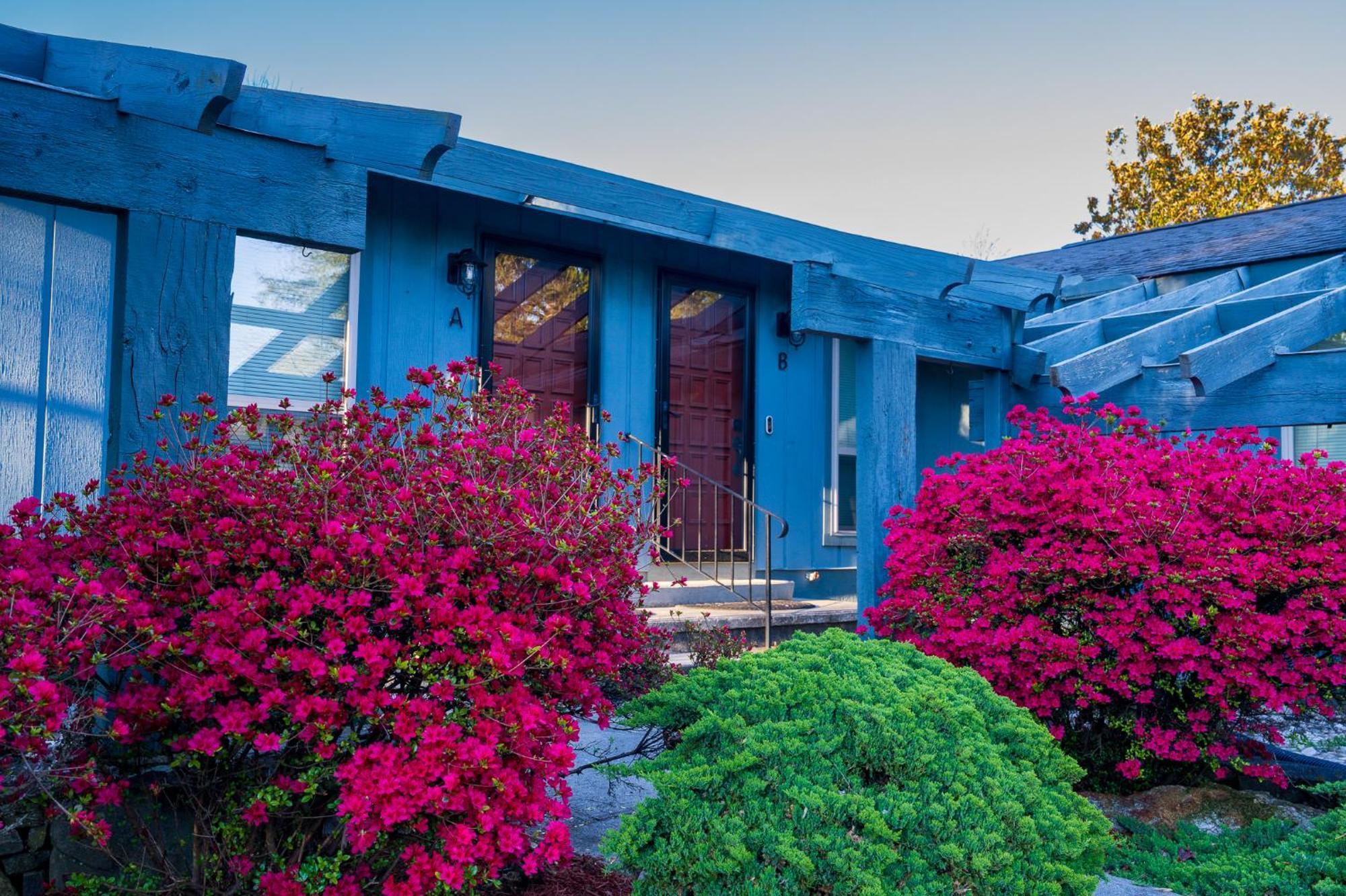 Appartamento Hendo Hideaway A 2Bed/1Bath Hendersonville Esterno foto